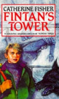 Fintan's Tower by Catherine Fisher
