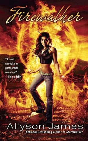 Firewalker (Stormwalker #2) by Allyson James