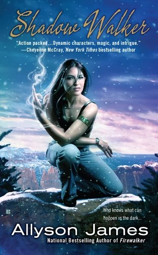 Shadow Walker (Stormwalker #3) by Allyson James