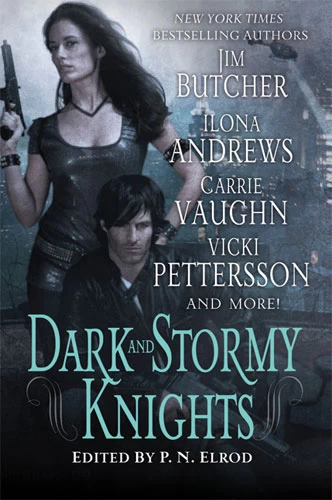 Dark and Stormy Knights by P. N. Elrod