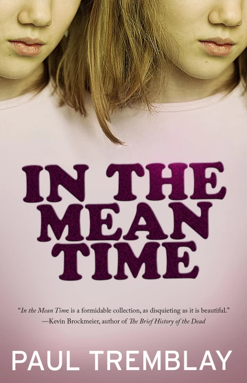 In The Mean Time by Paul Tremblay