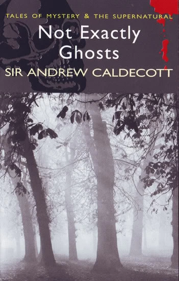 Not Exactly Ghosts: Tales of Mystery and the Supernatural (Tales of Mystery & the Supernatural) by Andrew Caldecott