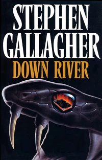 Down River by Stephen Gallagher