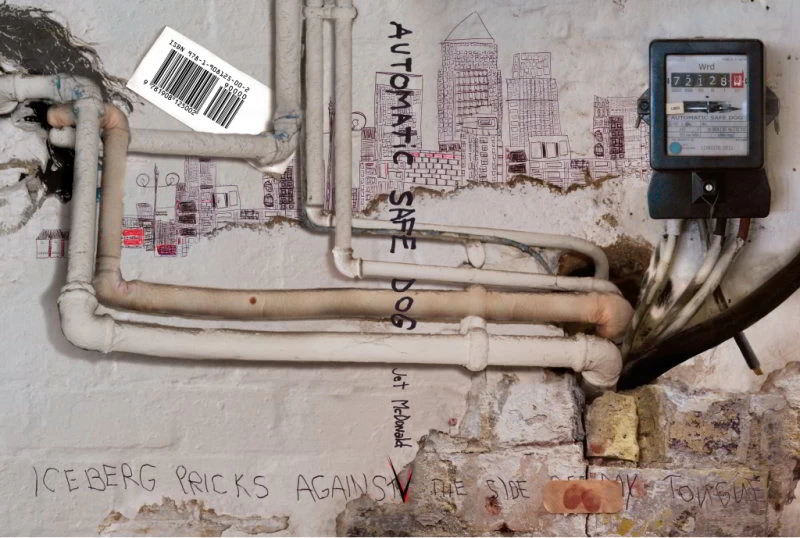 Automatic Safe Dog by Jet McDonald