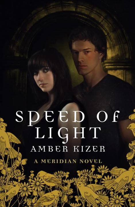 Speed of Light (Meridian #3) by Amber Kizer