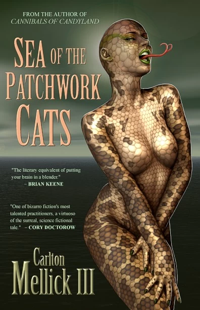 Sea of the Patchwork Cats by Carlton Mellick III