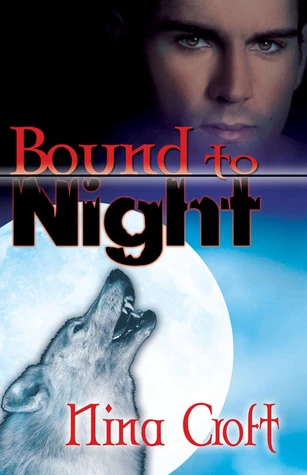 Bound to Night (Sisters of the Moon #1) by Nina Croft