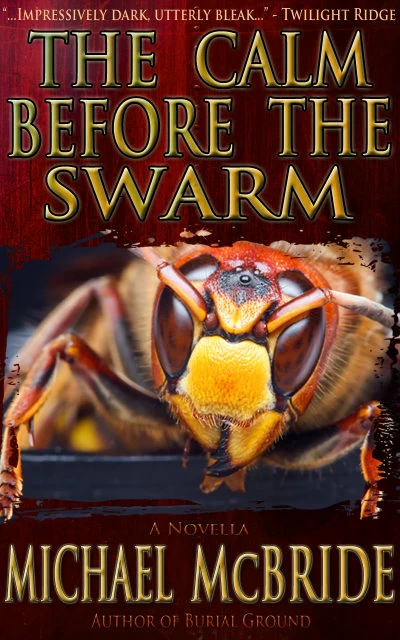 The Calm Before the Swarm by Michael McBride