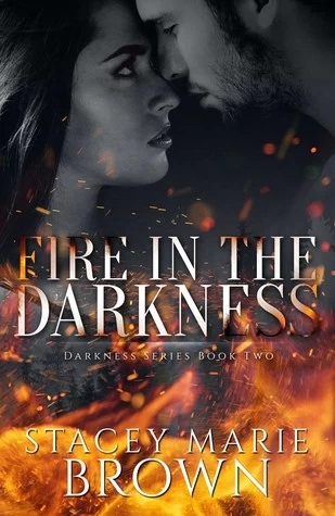 Fire in the Darkness (Darkness #2) by Stacey Marie Brown