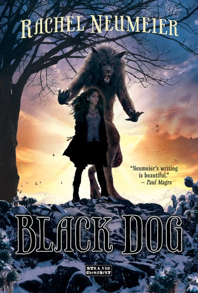 Black Dog (Black Dog #1) by Rachel Neumeier
