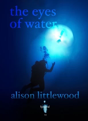 The Eyes of Water by Alison Littlewood