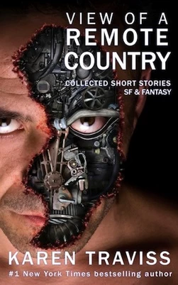 View of a Remote Country by Karen Traviss