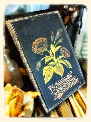 The Phantasmagorical Imperative and Other Fabrications by D. P. Watt