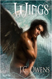 Wings (Wings #1) by J. C. Owens