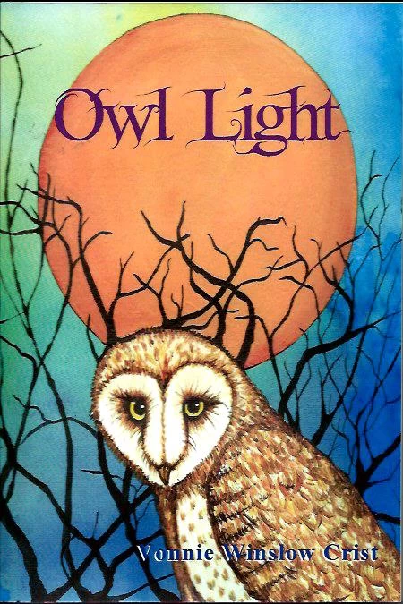 Owl Light