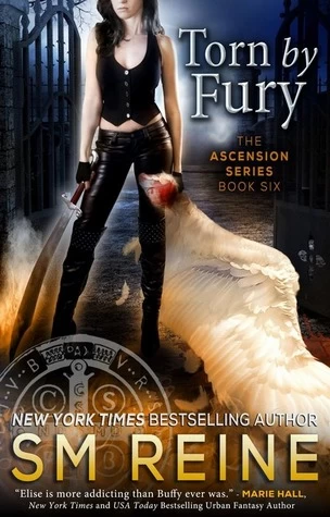 Torn by Fury (Ascension #6) by S. M. Reine