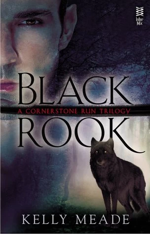 Black Rook (Cornerstone Run Trilogy #1) by Kelly Meade