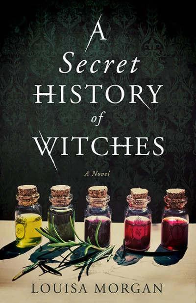 A Secret History of Witches by Louisa Morgan