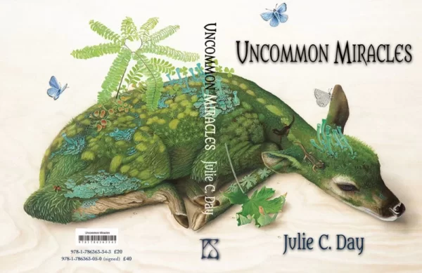 Uncommon Miracles by Julie C. Day
