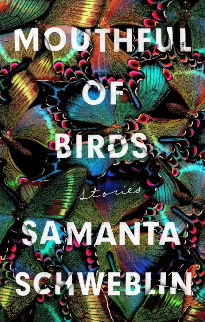 Mouthful of Birds by Samanta Schweblin