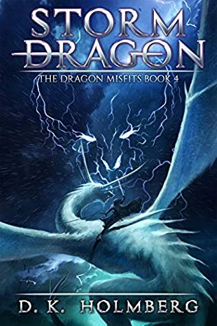 Storm Dragon (The Dragon Misfits #4) by D. K. Holmberg