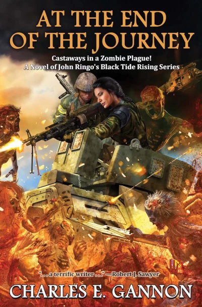 At the End of the Journey (Black Tide Rising #8) by Charles E. Gannon