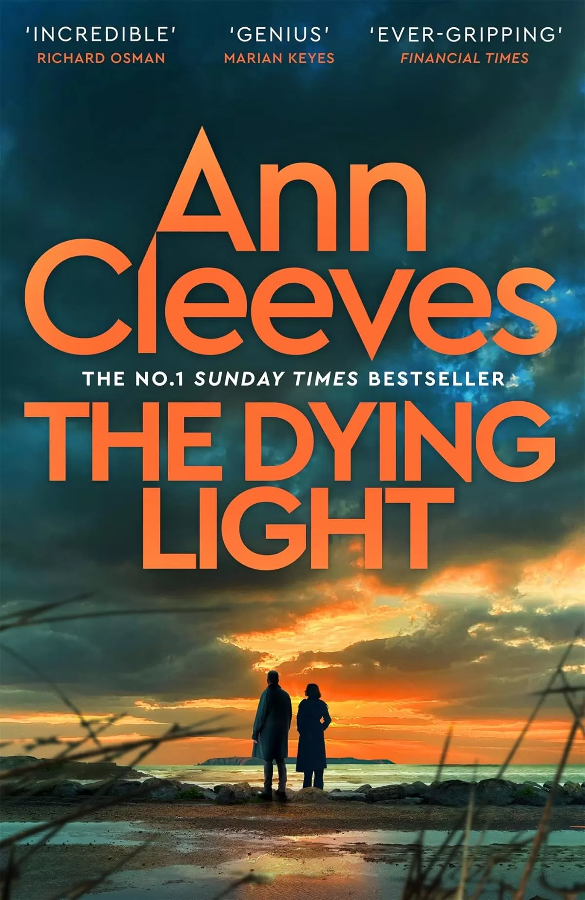 The Dying Light (Two Rivers #4) by Ann Cleeves