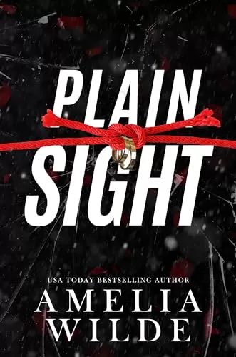 Plain Sight by Amelia Wilde
