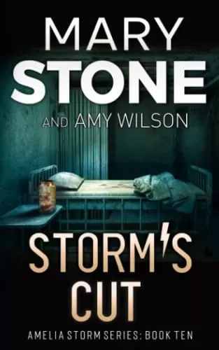 Storm's Cut (Amelia Storm FBI Mystery Series #10) by Mary Stone, Amy Wilson