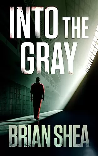 Into the Gray (Boston Crime Thriller #6) by Brian Shea