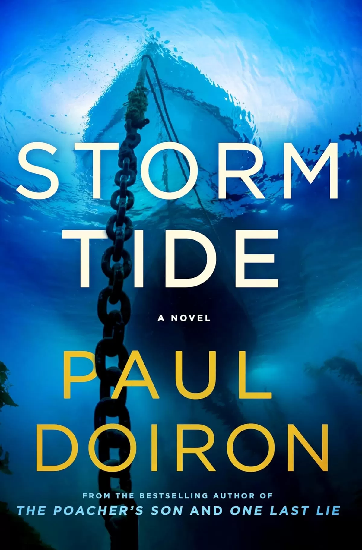Storm Tide: A Novel (Mike Bowditch #16) by Paul Doiron