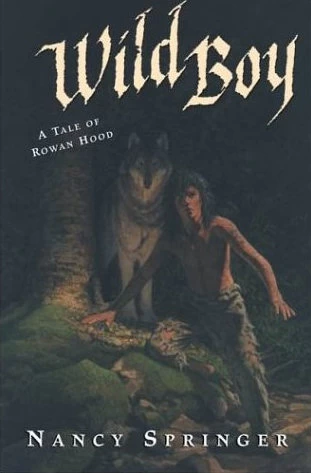 Wild Boy (Rowan Hood #4) by Nancy Springer