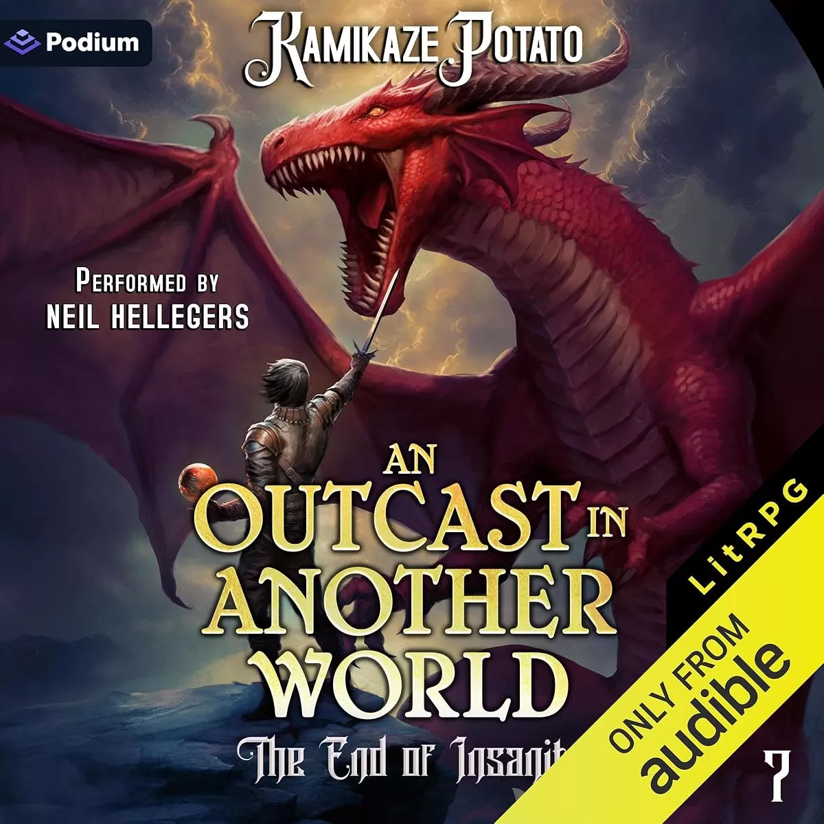 The End of Insanity: Part 2 (An Outcast In Another World #7) by KamikazePotato