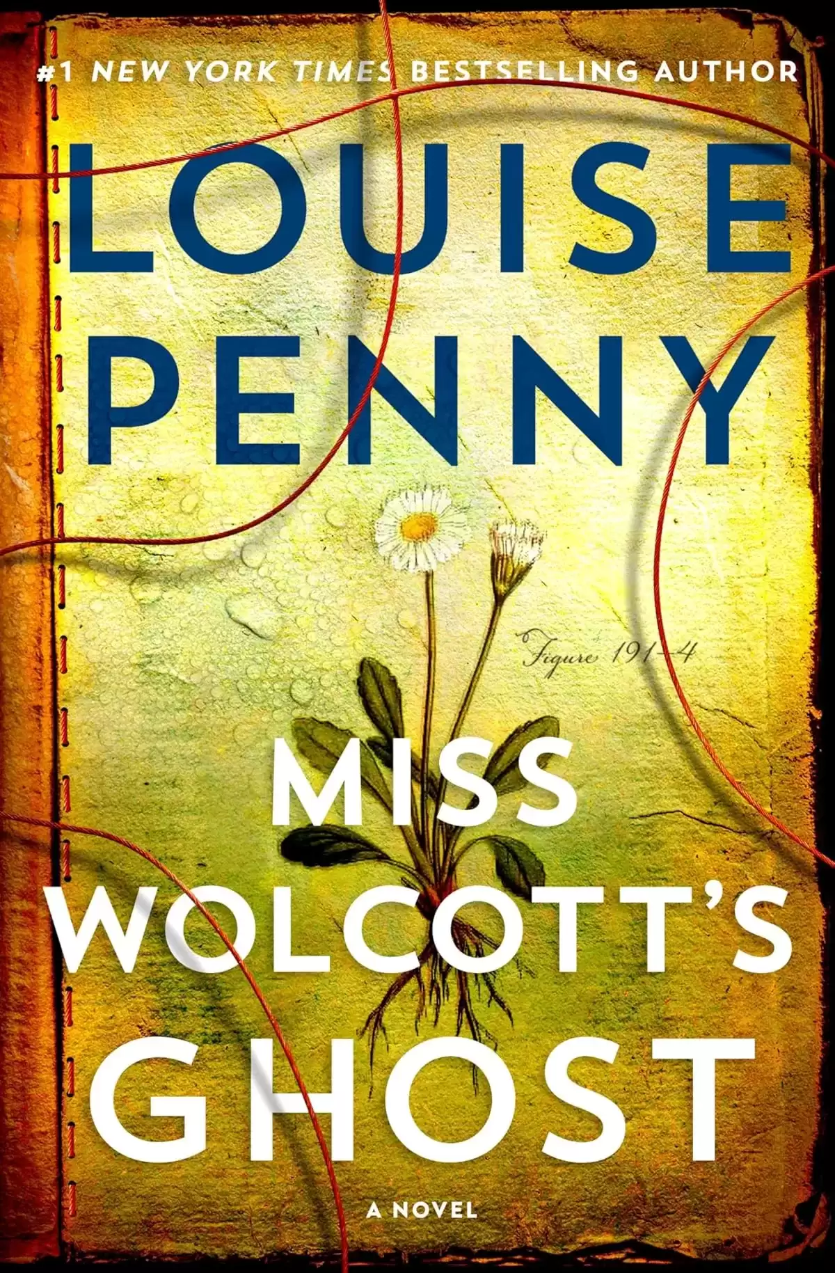 Miss Wolcott's Ghost (Chief Inspector Gamache #21) by Louise Penny
