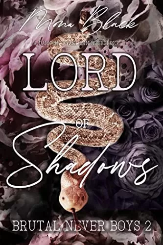 Lord of Shadows: a dark RH Peter Pan Retelling (Brutal Never Boys #2) by Mona Black
