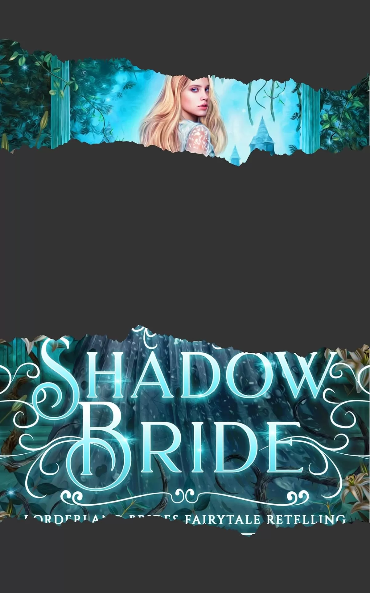 The Shadow Bride: A Twelve Dancing Princesses Retelling (Borderland Brides Fairytale Retellings #2) by Jacque Stevens