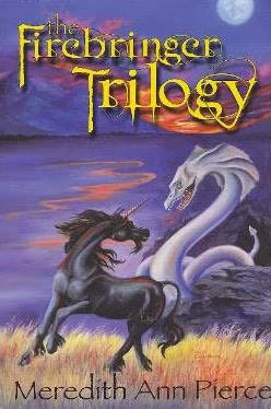 The Firebringer Trilogy (The Firebringer Trilogy) by Meredith Ann Pierce
