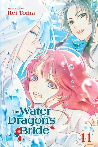 The Water Dragon's Bride, Vol. 11 (The Water Dragon's Bride #11) by Rei Tōma