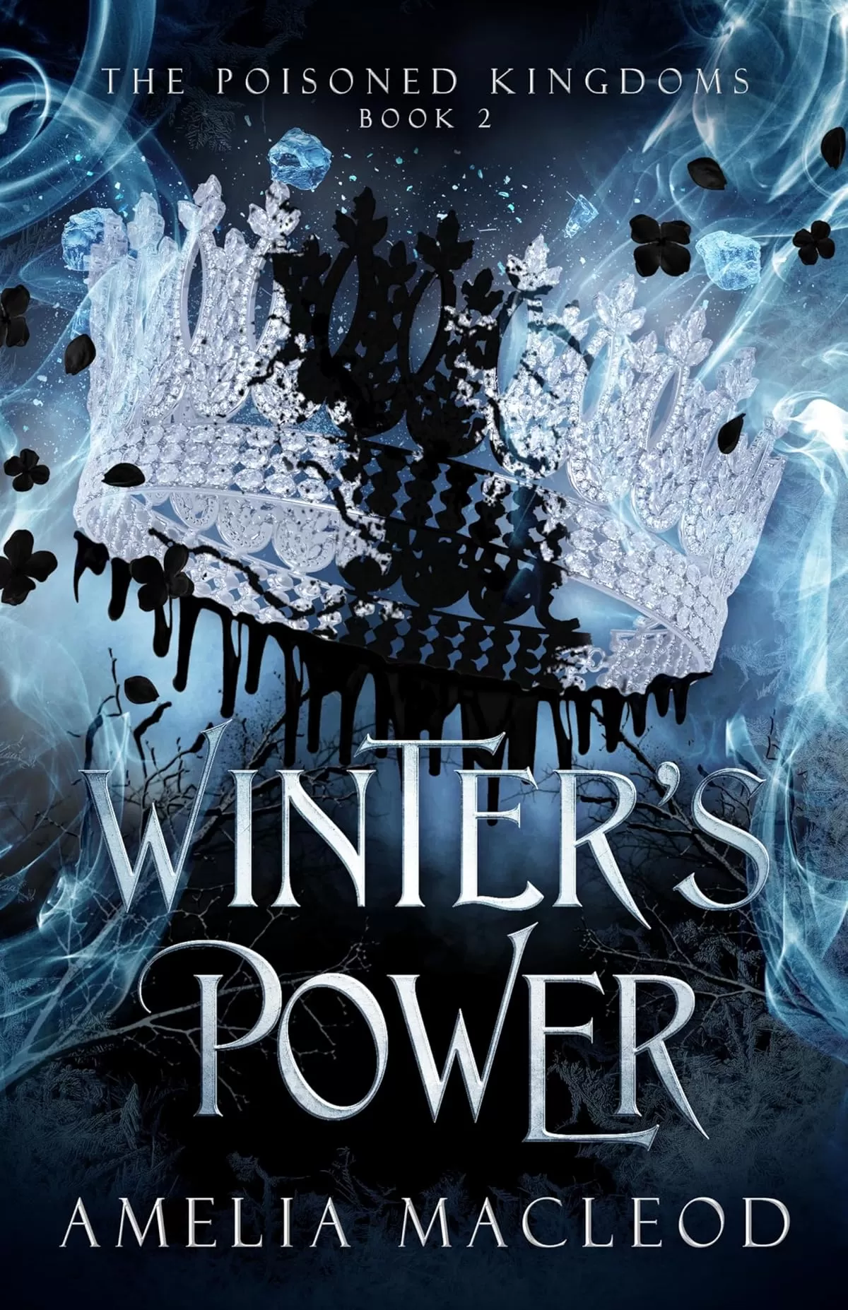 Winter's Power (The Poisoned Kingdoms #2) by Amelia MacLeod