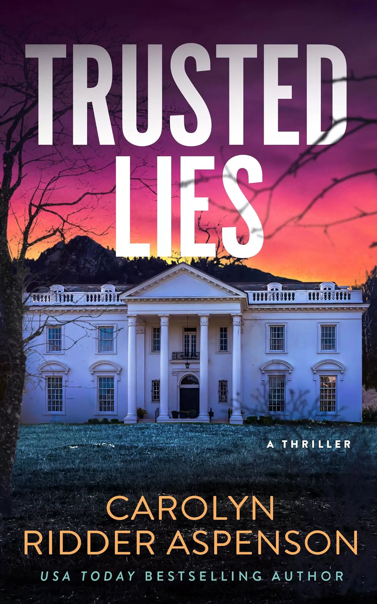 Trusted Lies (Rachel Ryder #11) by Carolyn Ridder Aspenson