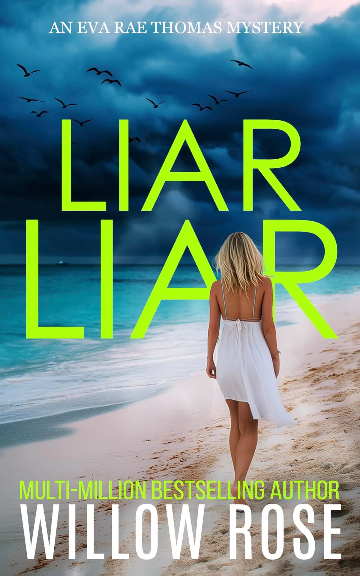 Liar Liar (Eva Rae Thomas Mystery #19) by Willow Rose