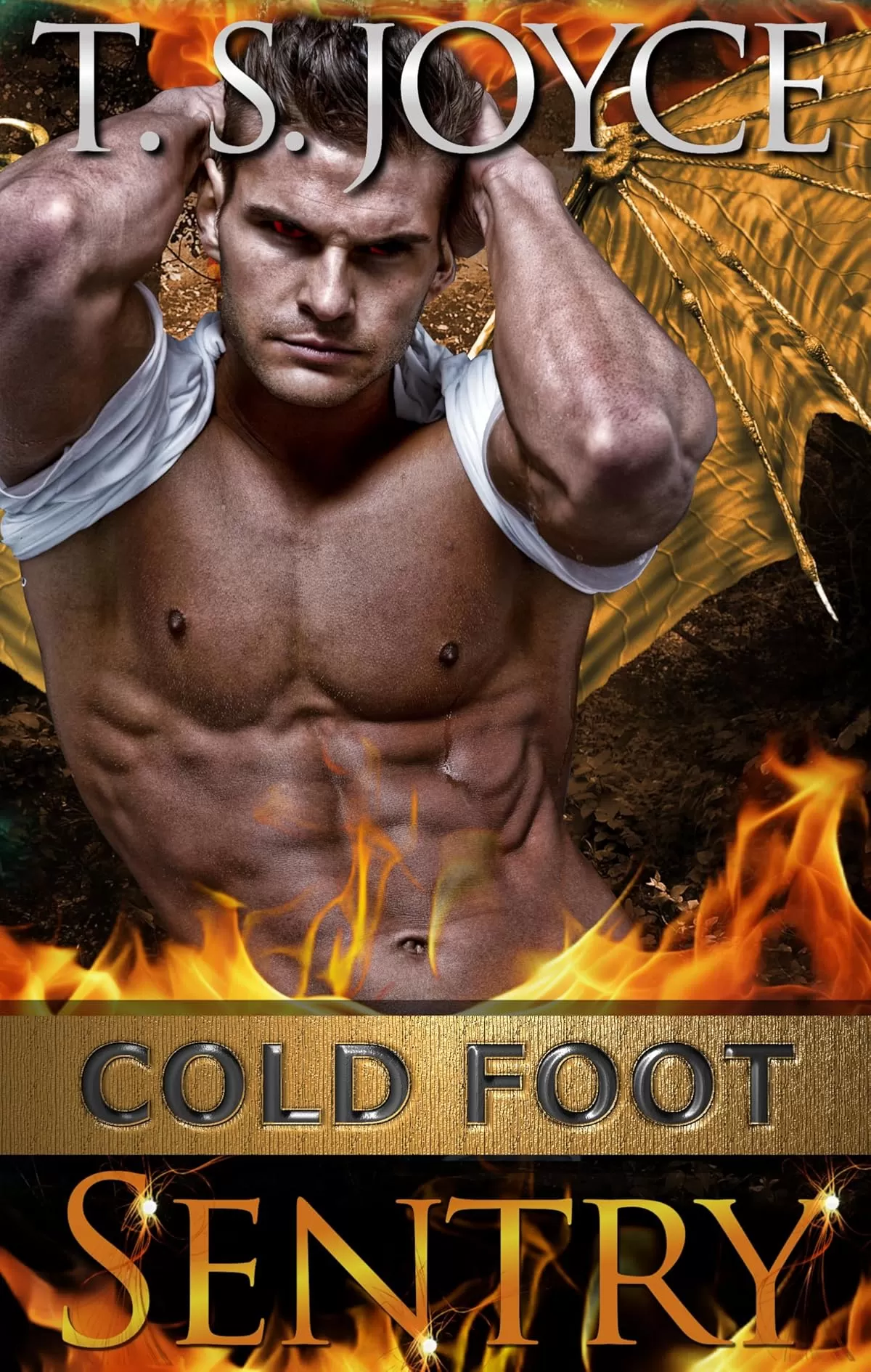 Cold Foot Sentry (Wreck's Mountains #6) by T. S. Joyce