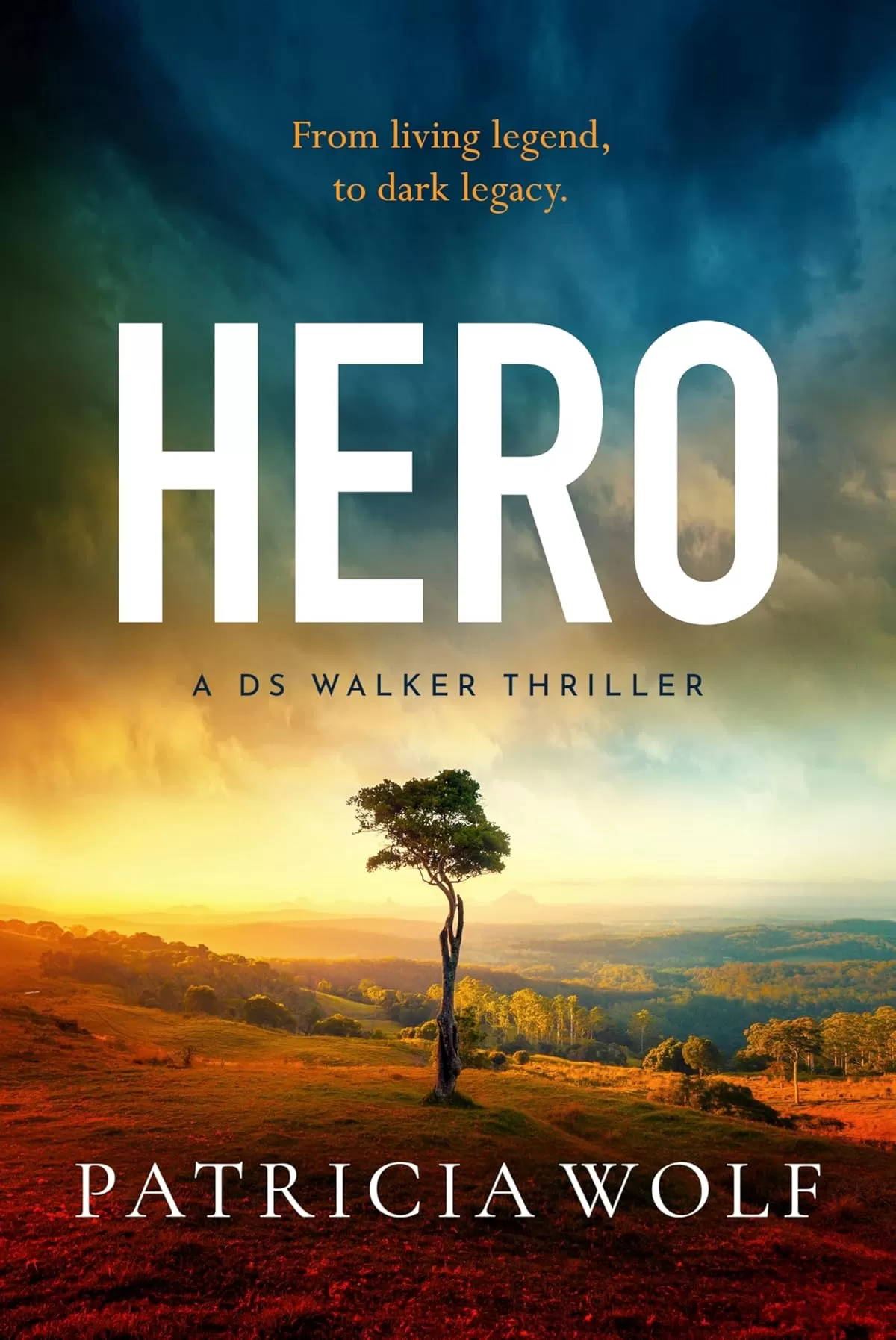 Hero (A DS Walker Thriller #5) by Patricia Wolf