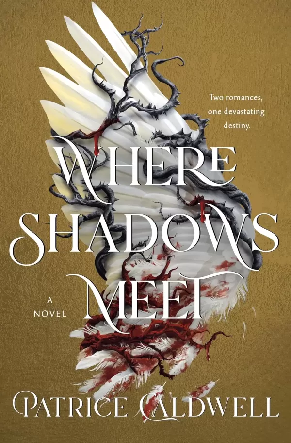 Where Shadows Meet (Where Shadows Meet #1) by Patrice Caldwell