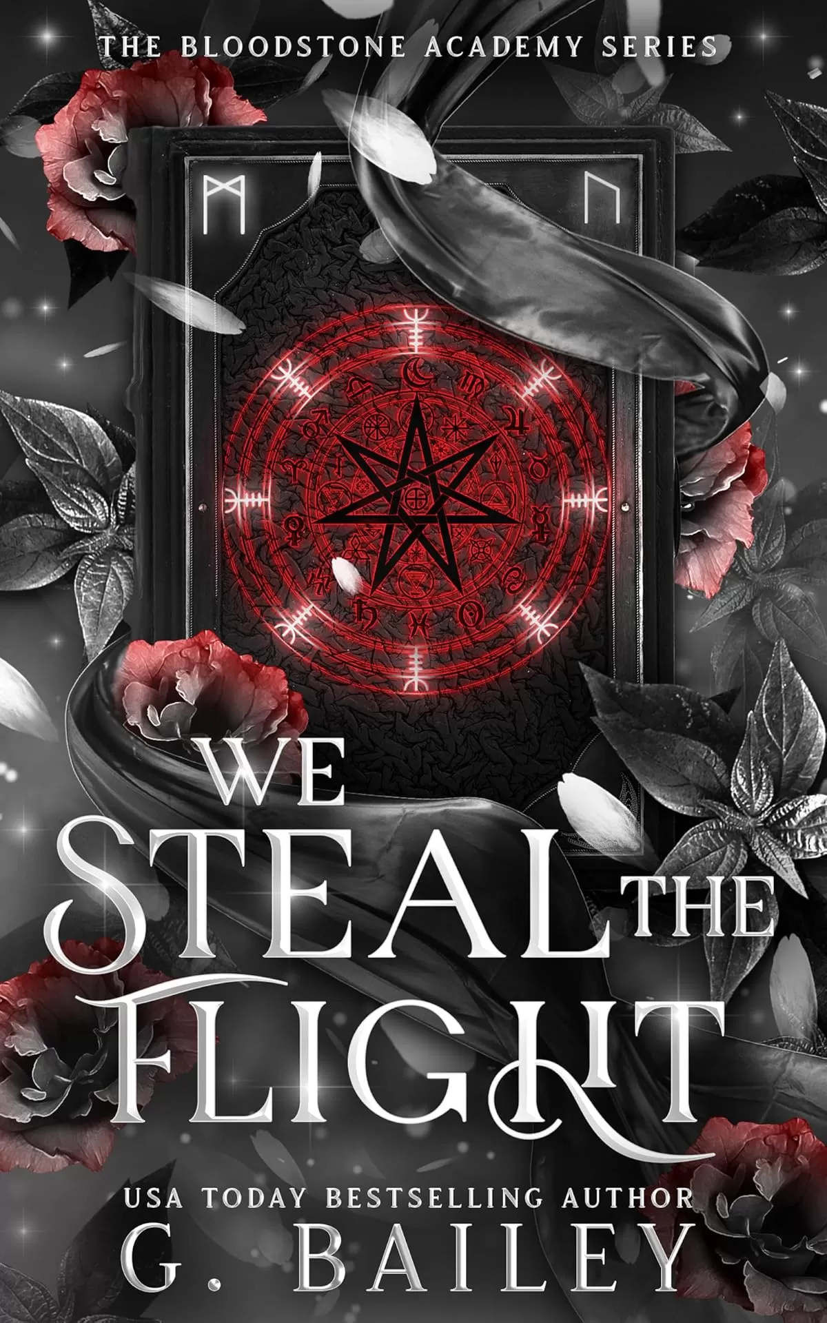 We Steal The Flight (The Bloodstone Academy #3) by G. Bailey