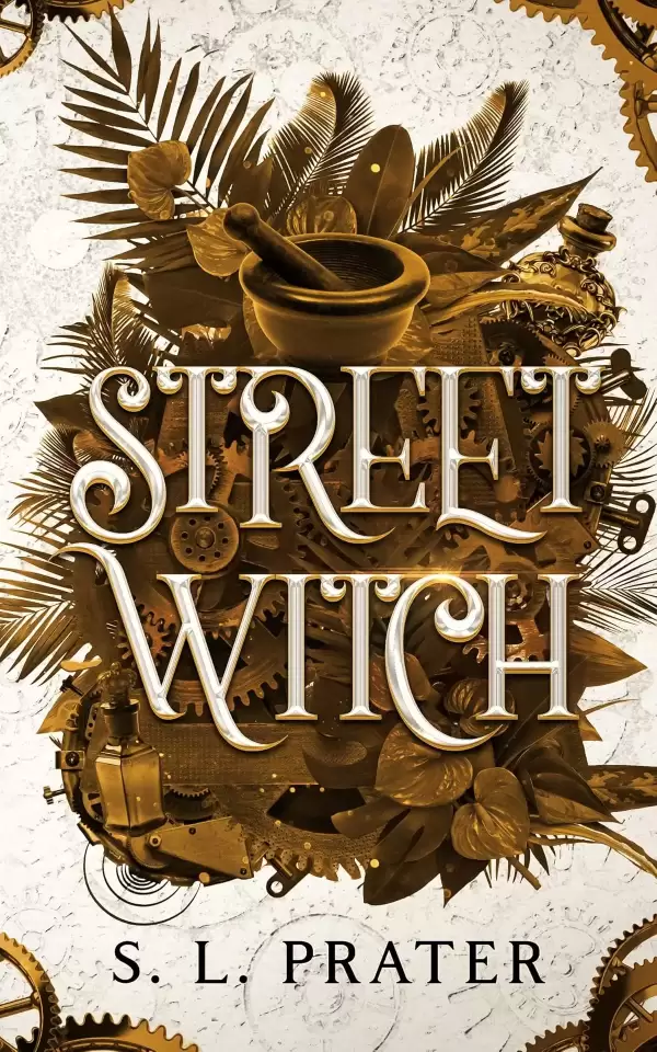 Street Witch (The Street Witch Series #1) by S. L. Prater