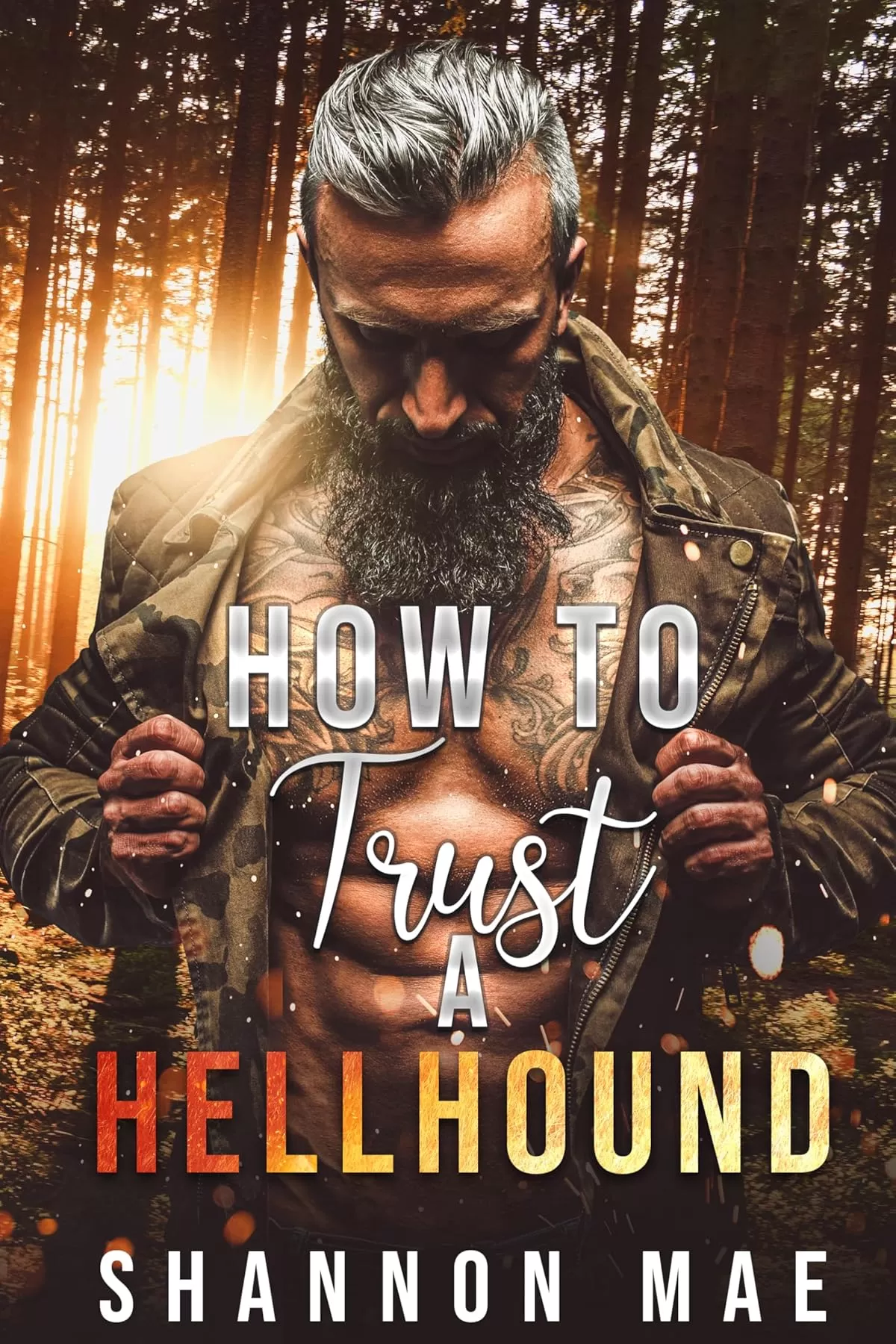 How to Trust a Hellhound (Hellhounds of Paradise Falls #4) by Shannon Mae