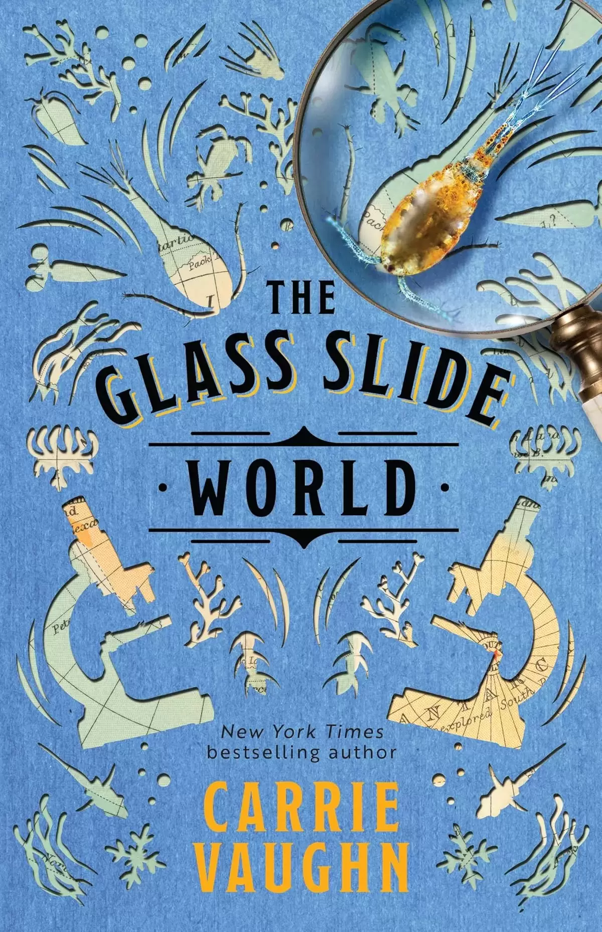 The Glass Slide World