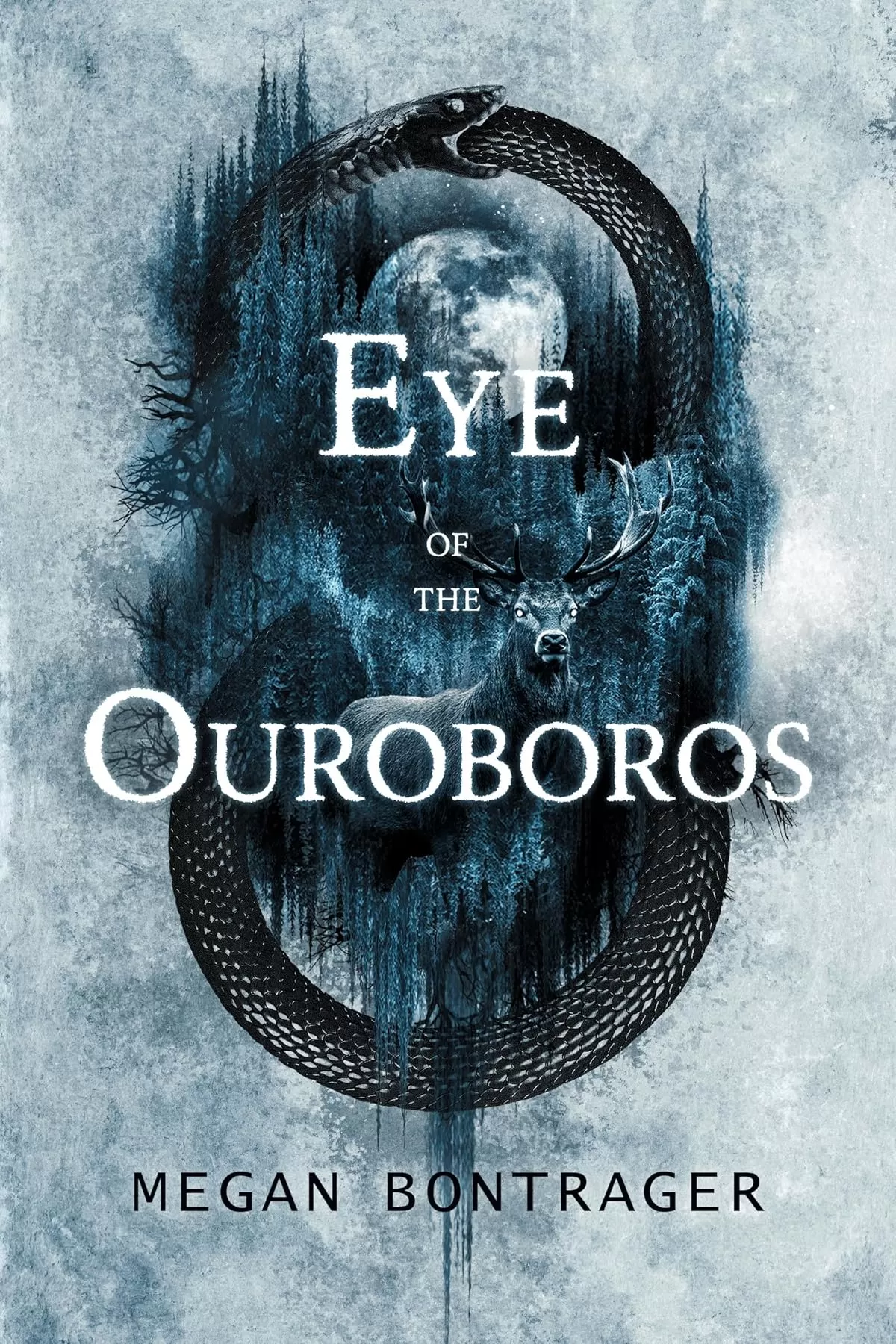 Eye of the Ouroboros by Megan Bontrager