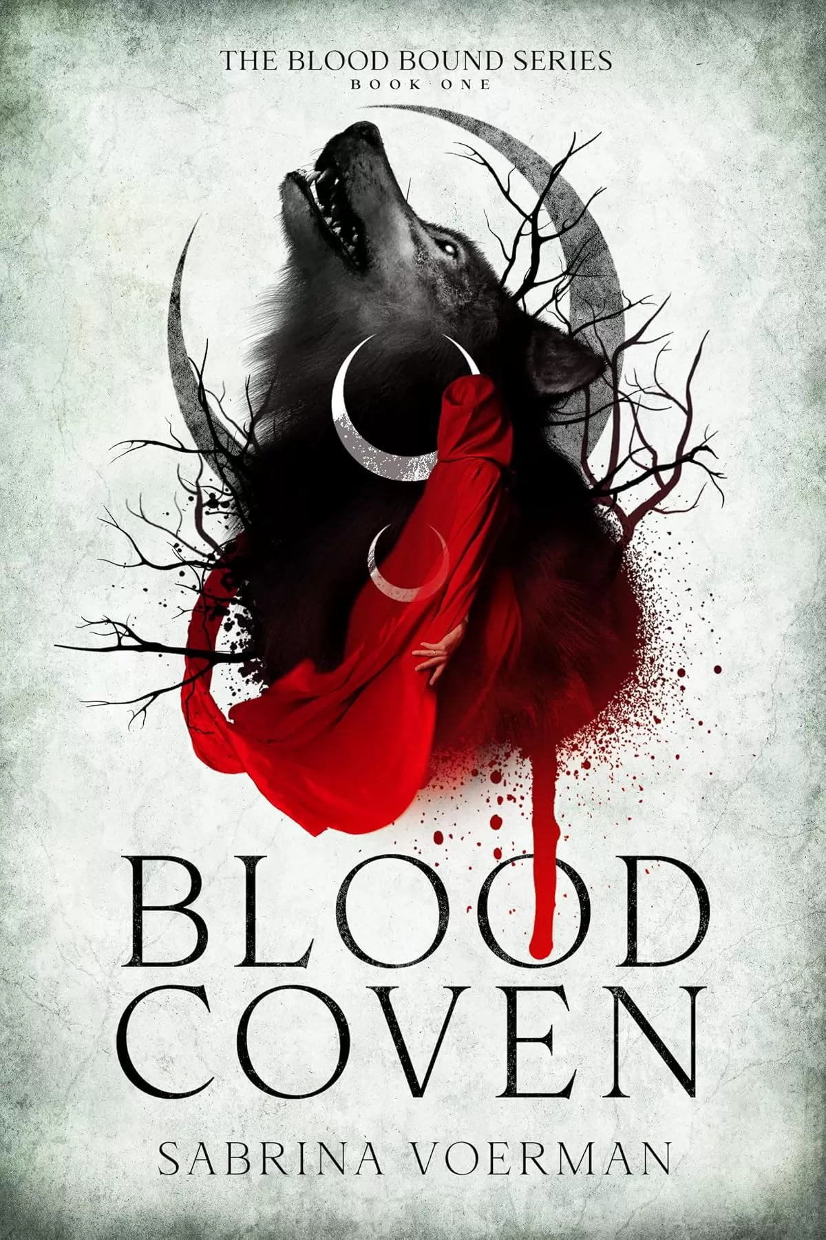 Blood Coven (The Blood Bound #1) by Sabrina Voerman